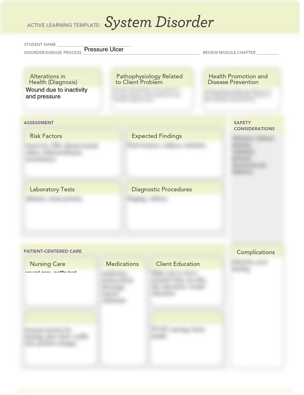 Pressure Ulcer ALT.pdf_dfi1ls8hf5f_page1