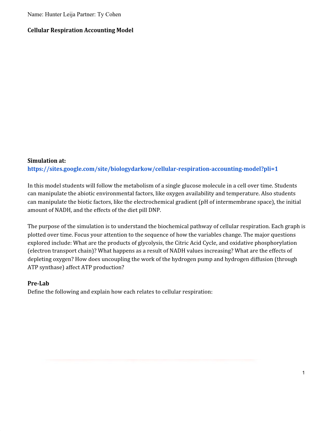 Copy of Copy of Cellular Respiration Accounting Model.pdf_dfi29etaczl_page1