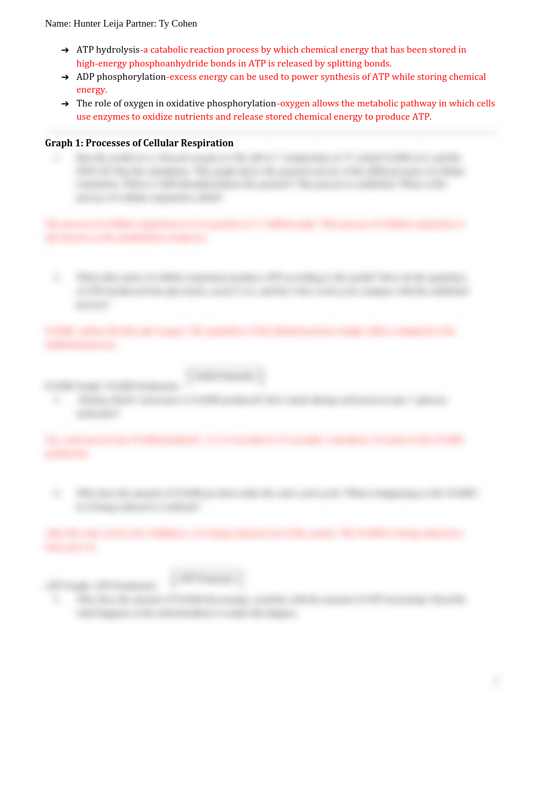 Copy of Copy of Cellular Respiration Accounting Model.pdf_dfi29etaczl_page2