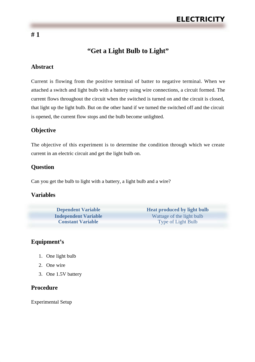 Lab notbook submission #1.docx_dfialbio5sx_page1