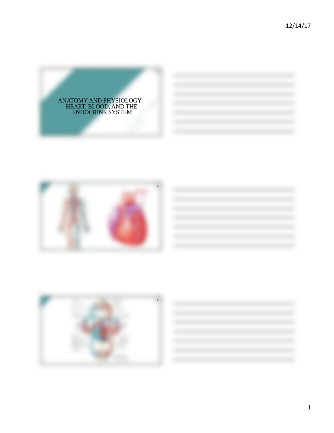 Cardiovascular Endocrine Handouts.pdf_dfijiodsd0x_page1