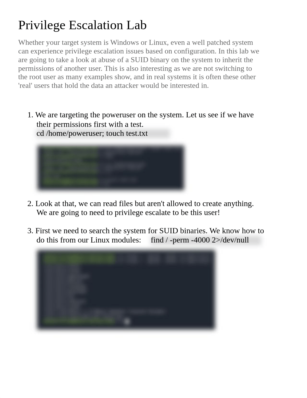 Privilege Escalation Lab.docx_dfipdjabkg1_page1