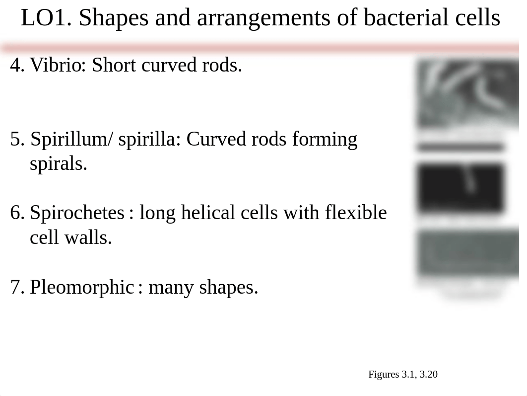 Chapter 3(1) Micro .pdf_dfipo6dgw9q_page4