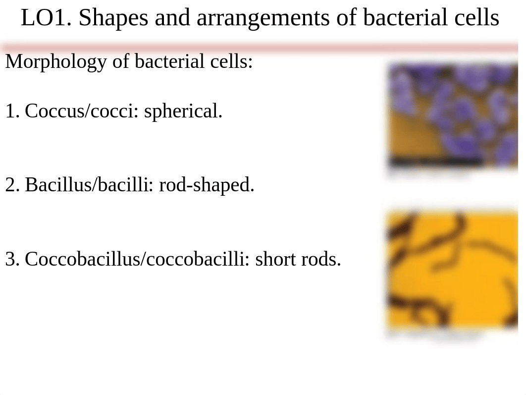 Chapter 3(1) Micro .pdf_dfipo6dgw9q_page3