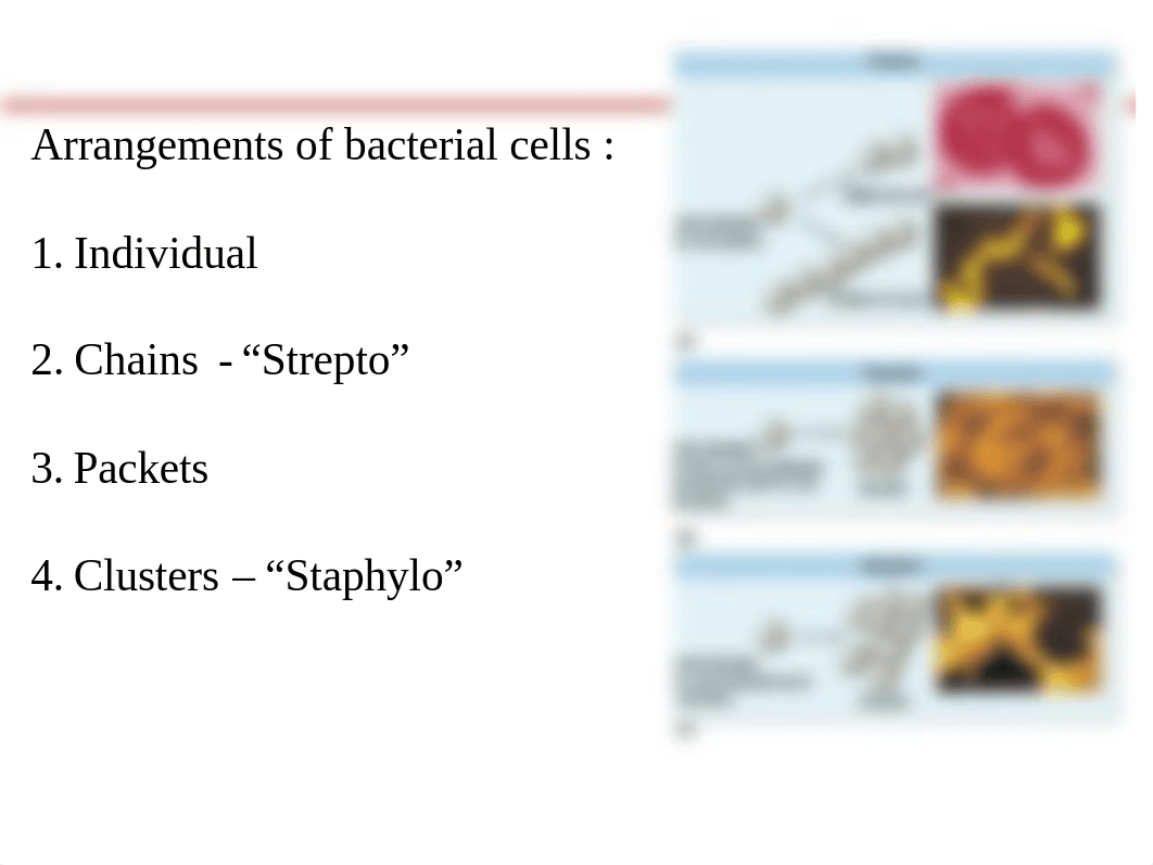 Chapter 3(1) Micro .pdf_dfipo6dgw9q_page5