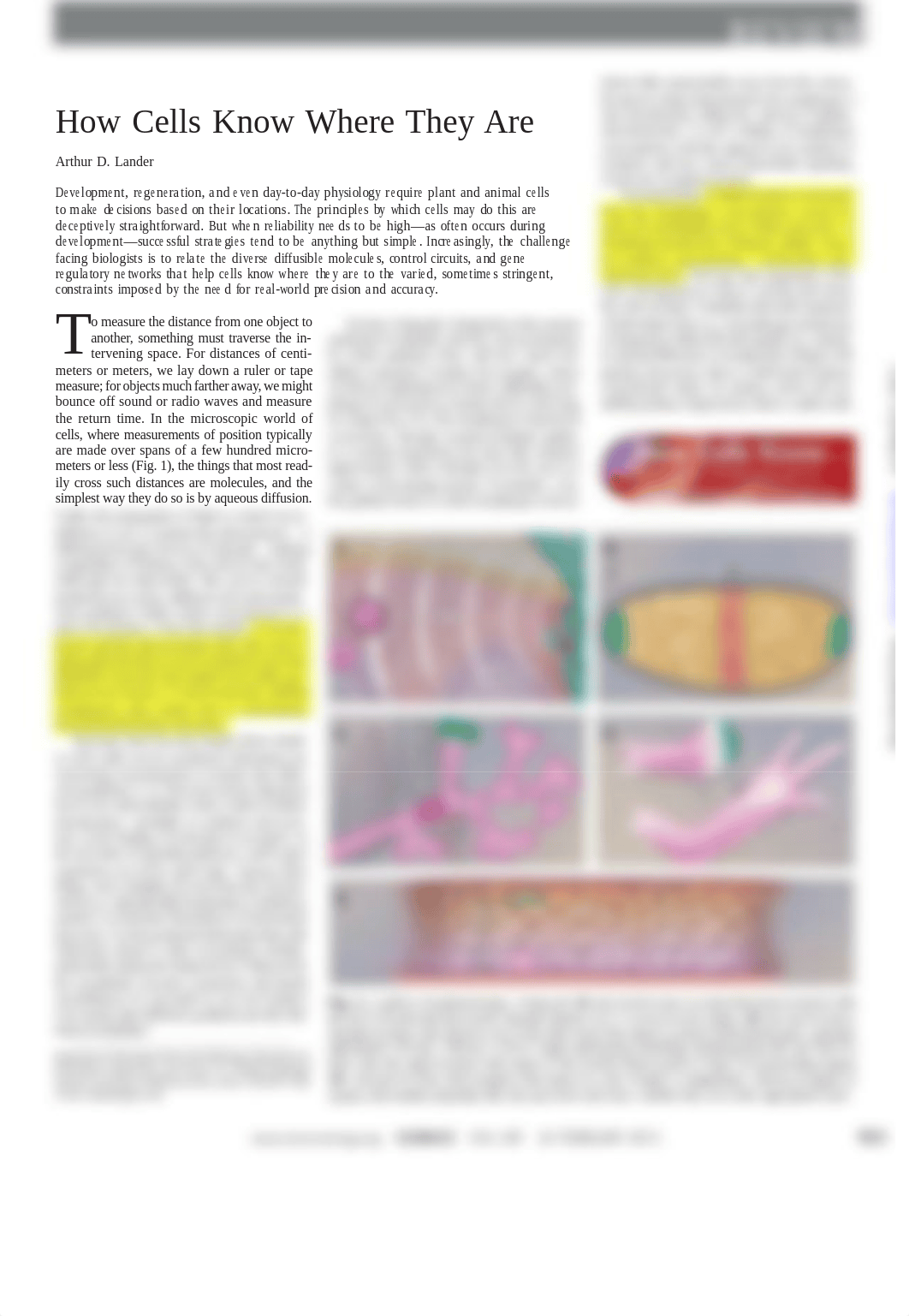 Tissue Eng - how cells know where they are-article 1_dfiselicok1_page2