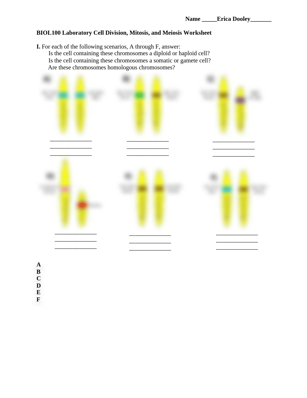 Cell Division-Mitosis and Meiosis Worksheet (1).docx_dfiuffpq4qd_page1