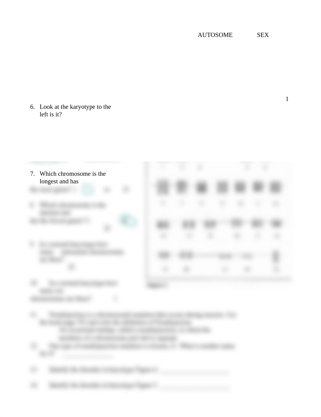 karyotype_worksheet-1.docx_dfivufi1f8n_page2