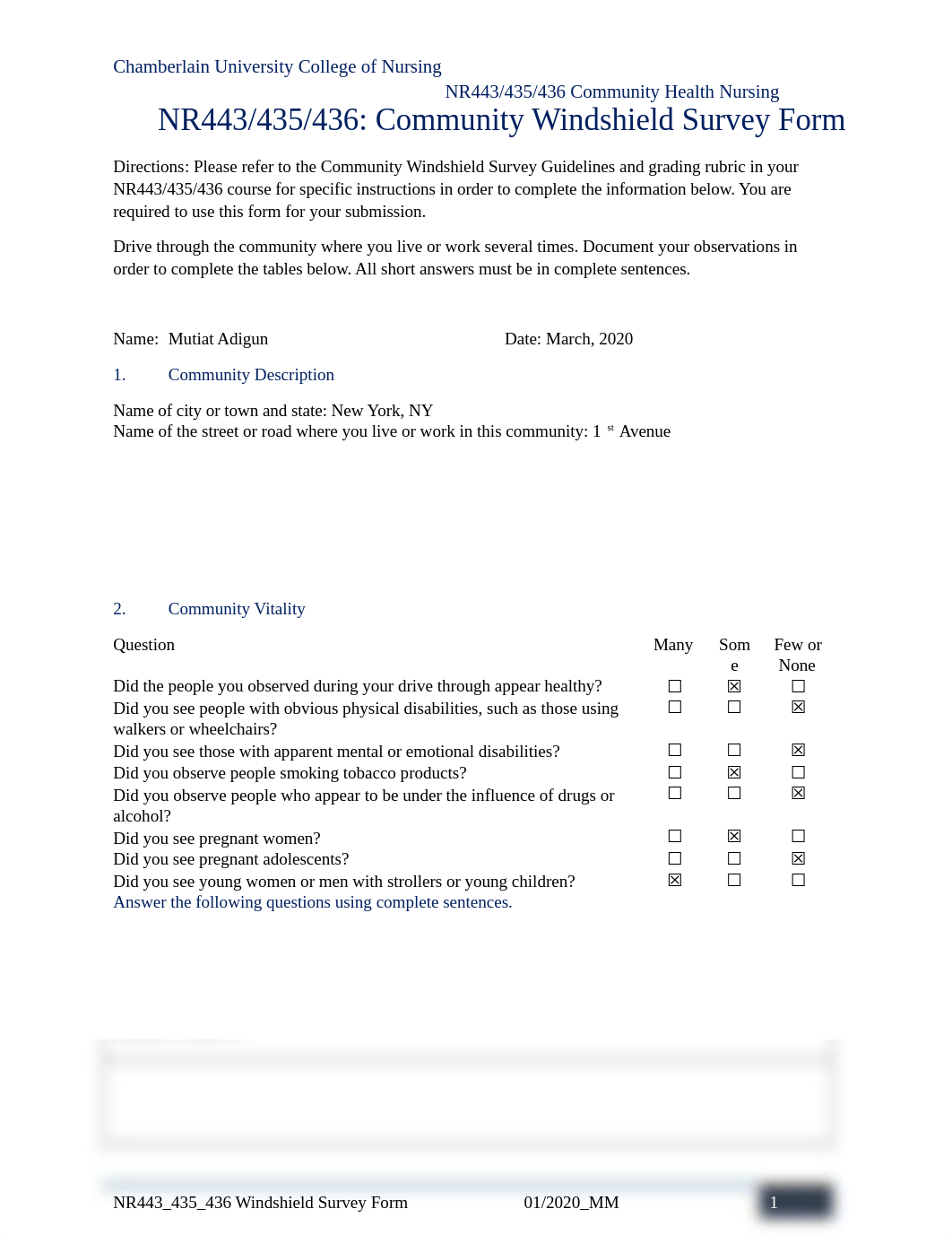 NR443 Windshield Survey Form   Adigun (1).docx_dfiyw1ebhh4_page1