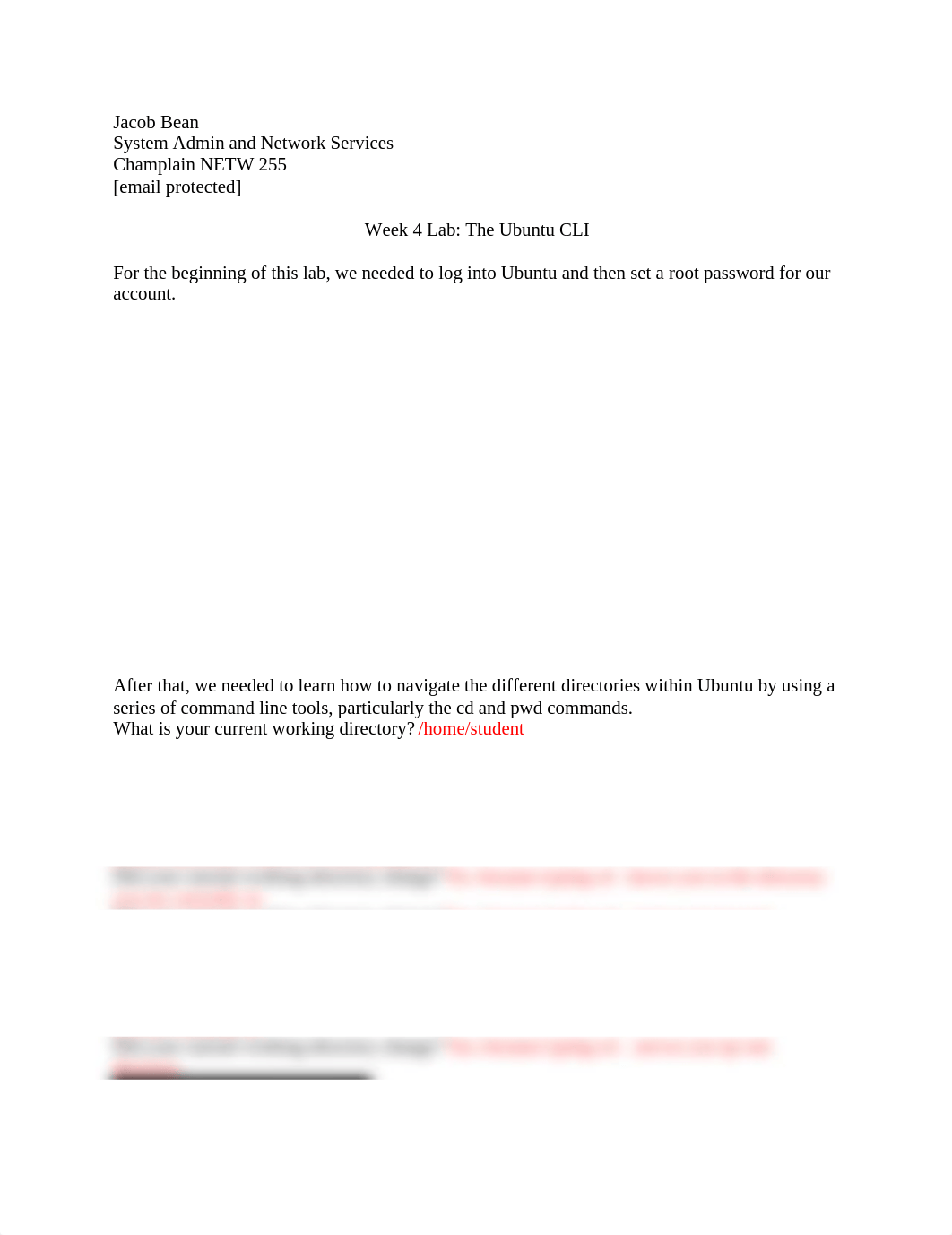 Assignment4_Bean.docx_dfj8burqct9_page1