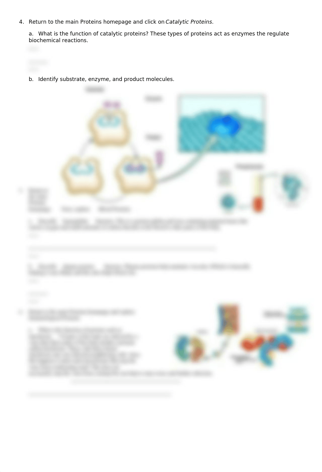 Ch 2. Common Biomolecules_dfjcdrdwo5t_page3