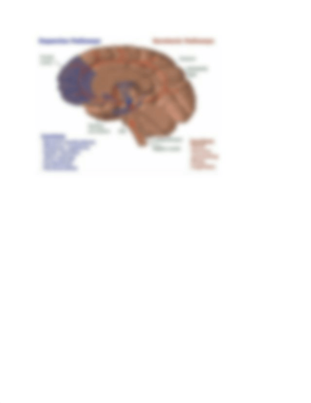 Dopamine and seratonin.pdf_dfjdyfk0jiv_page1