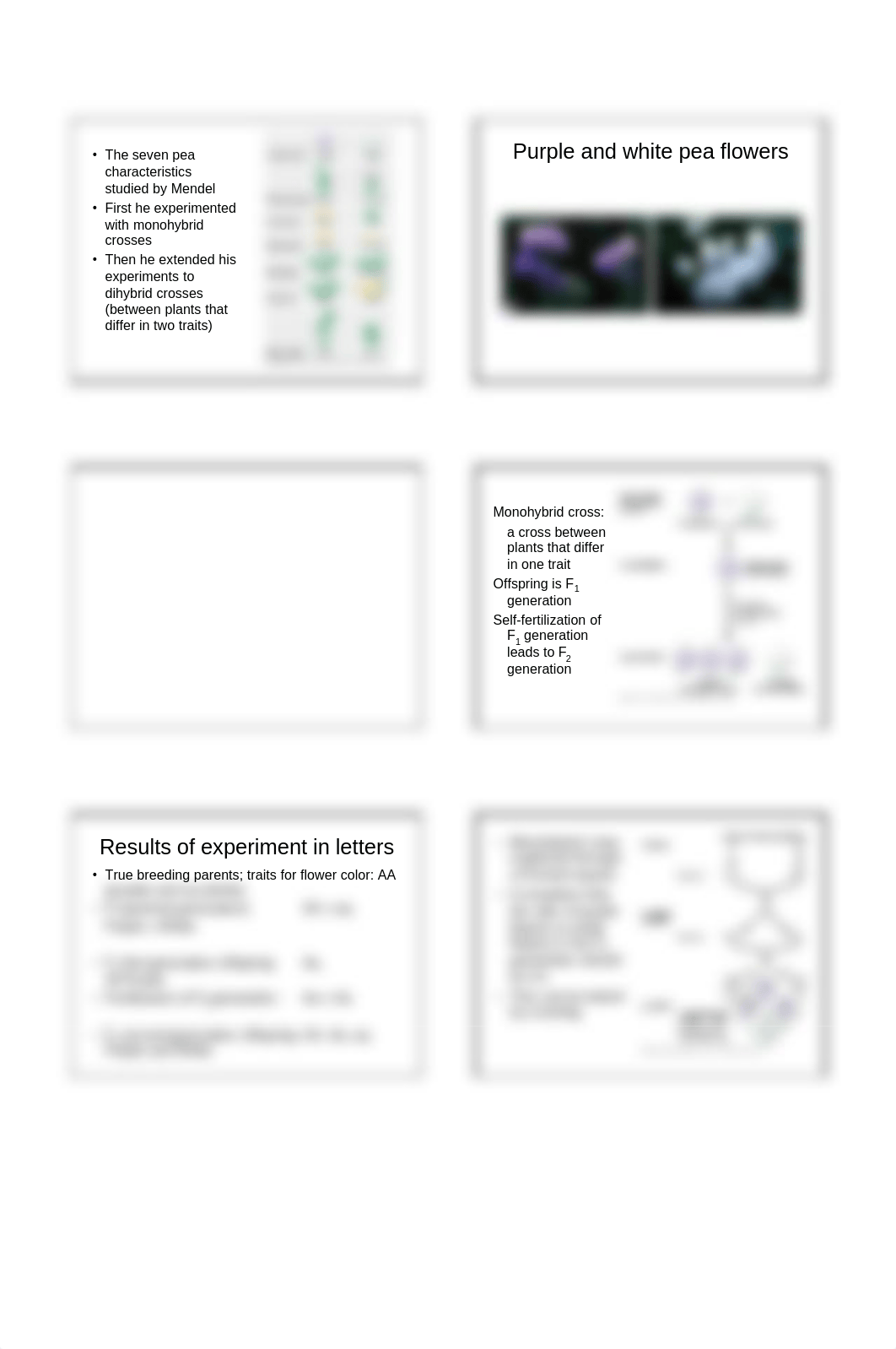 Chapter10-9_Patterns of Inheritance.pdf_dfjg0ior1zl_page4