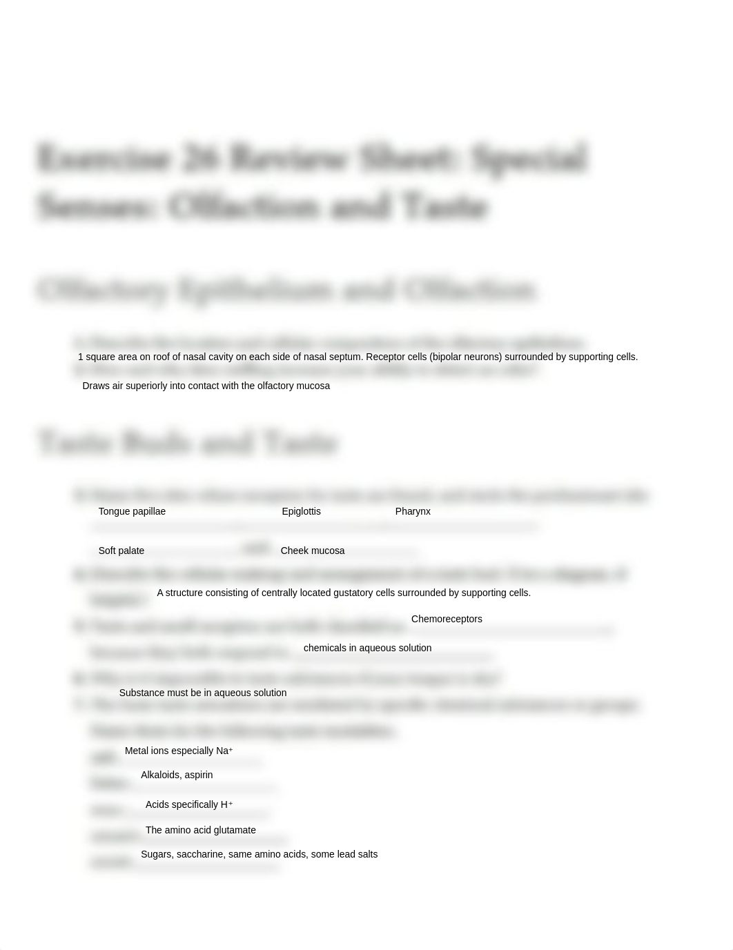 Ex26 Review sheet - Special Senses - Olfaction and Taste (1).pdf_dfjv70w4h6x_page1