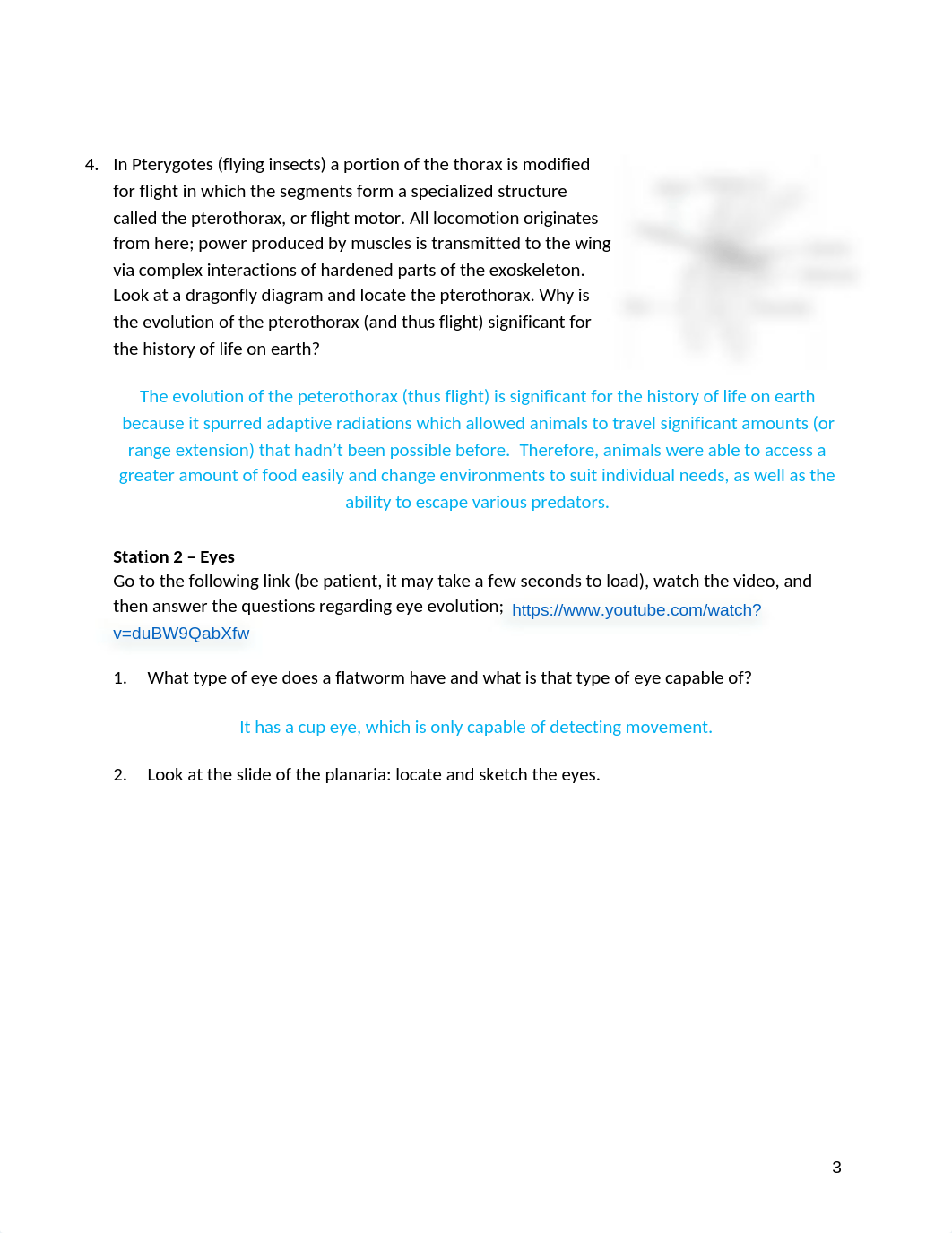 InvertebrateSurvey_F17 (bio).docx_dfk2gh134nb_page3