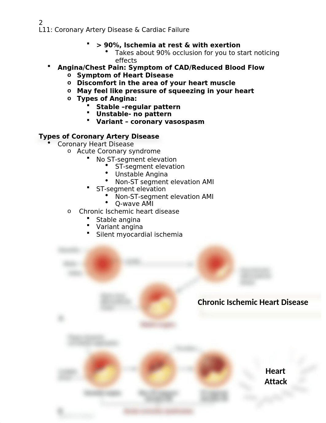 L11_Coronary Artery Disease.docx_dfk547xl27d_page2