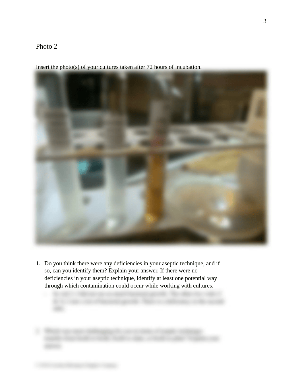 Aseptic Technique Lab REPORT finished.docx_dfkcijsz7br_page4