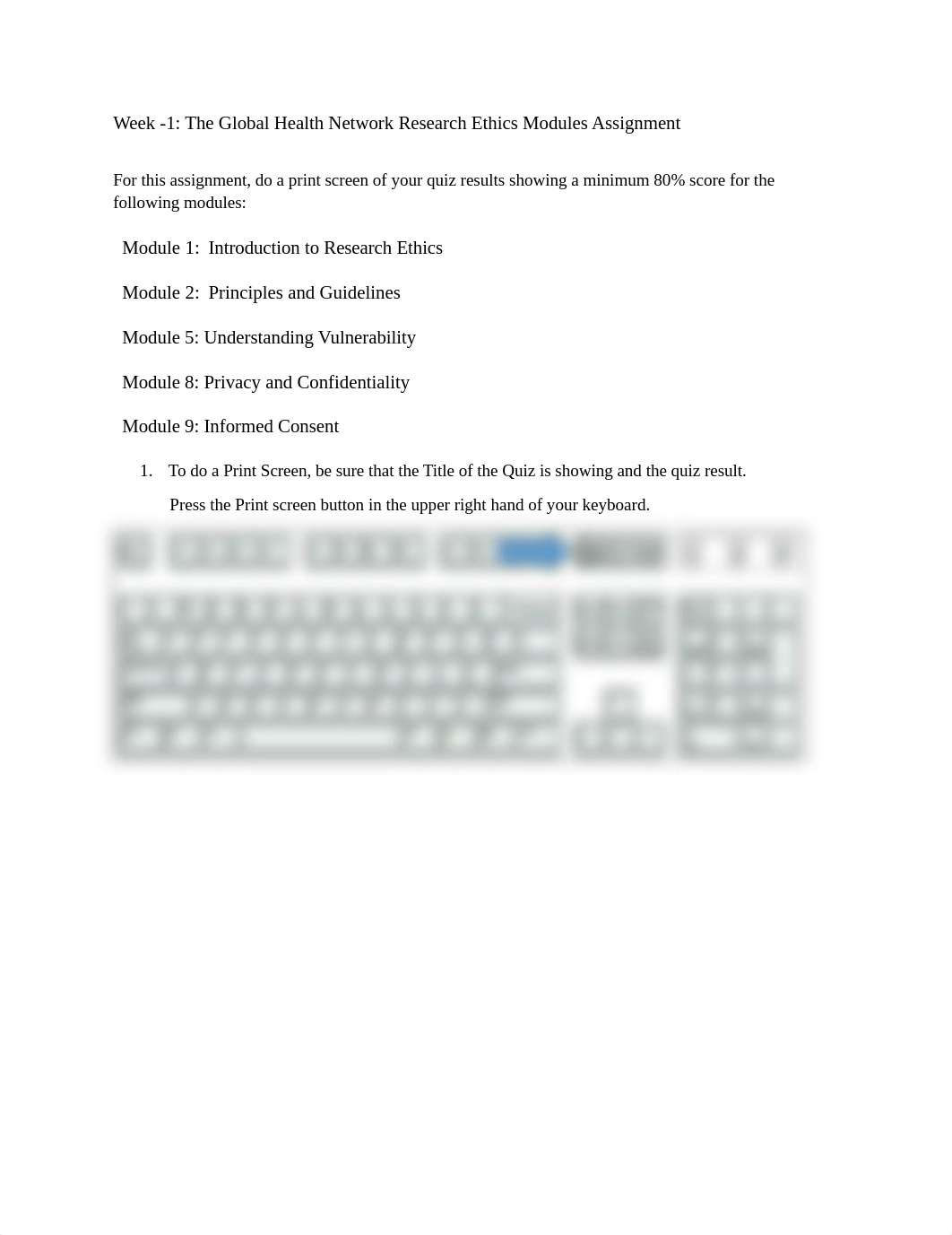 Print Screen Instructions for Week 1 Assignment NR 505 (1).docx_dfkcsm0csty_page1