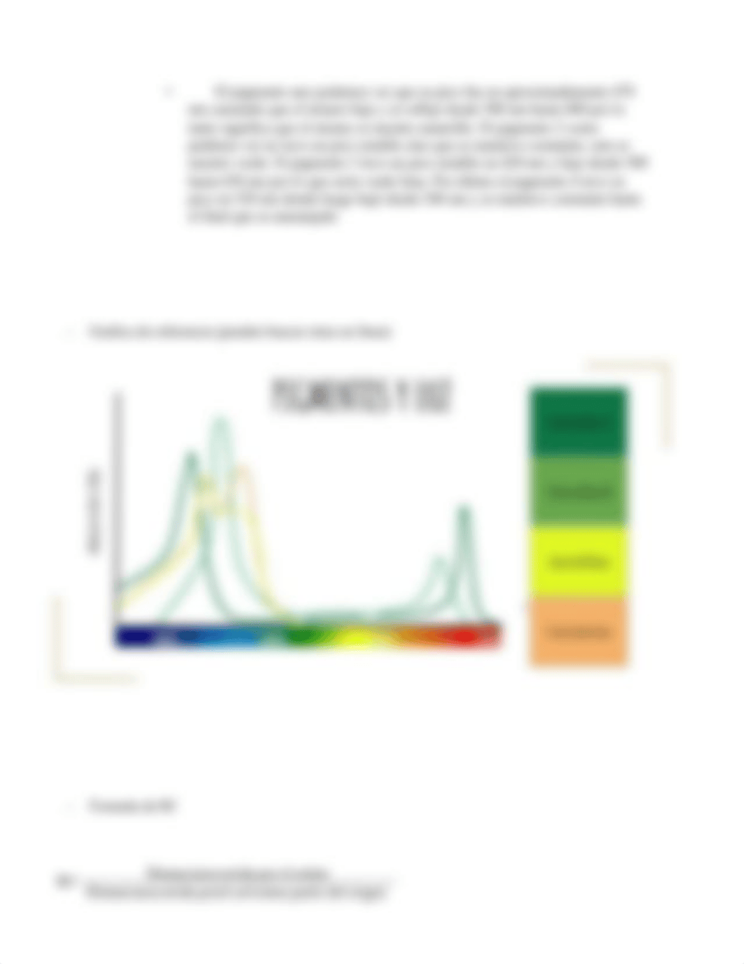 TAREA-FOTOSINTESIS (2) 3.docx_dfkjvz7iz2m_page4