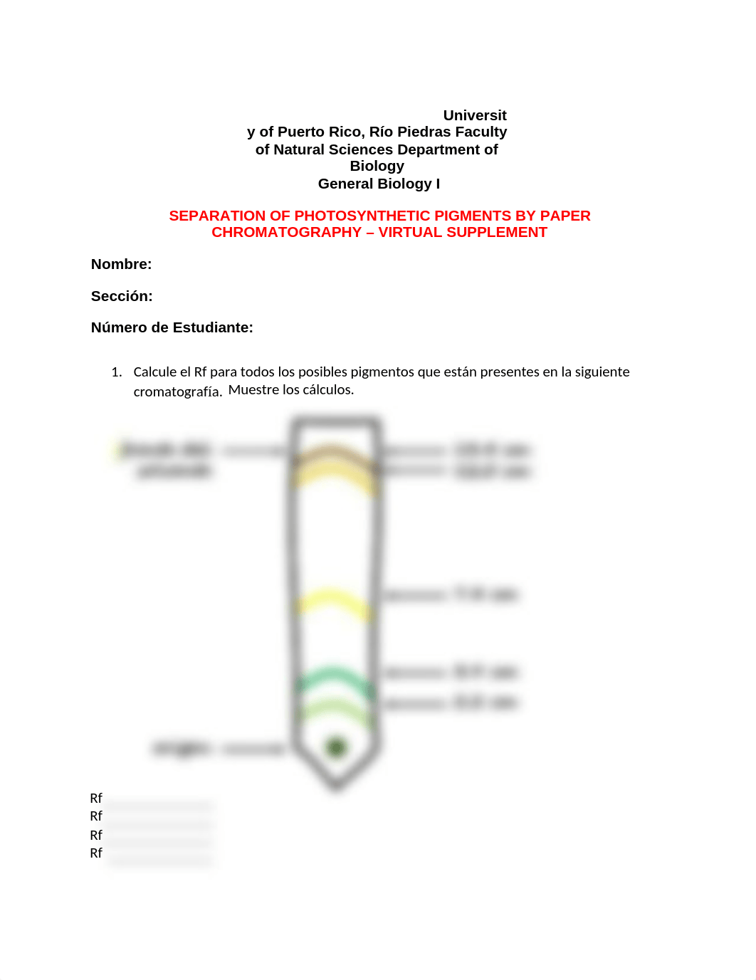 TAREA-FOTOSINTESIS (2) 3.docx_dfkjvz7iz2m_page1