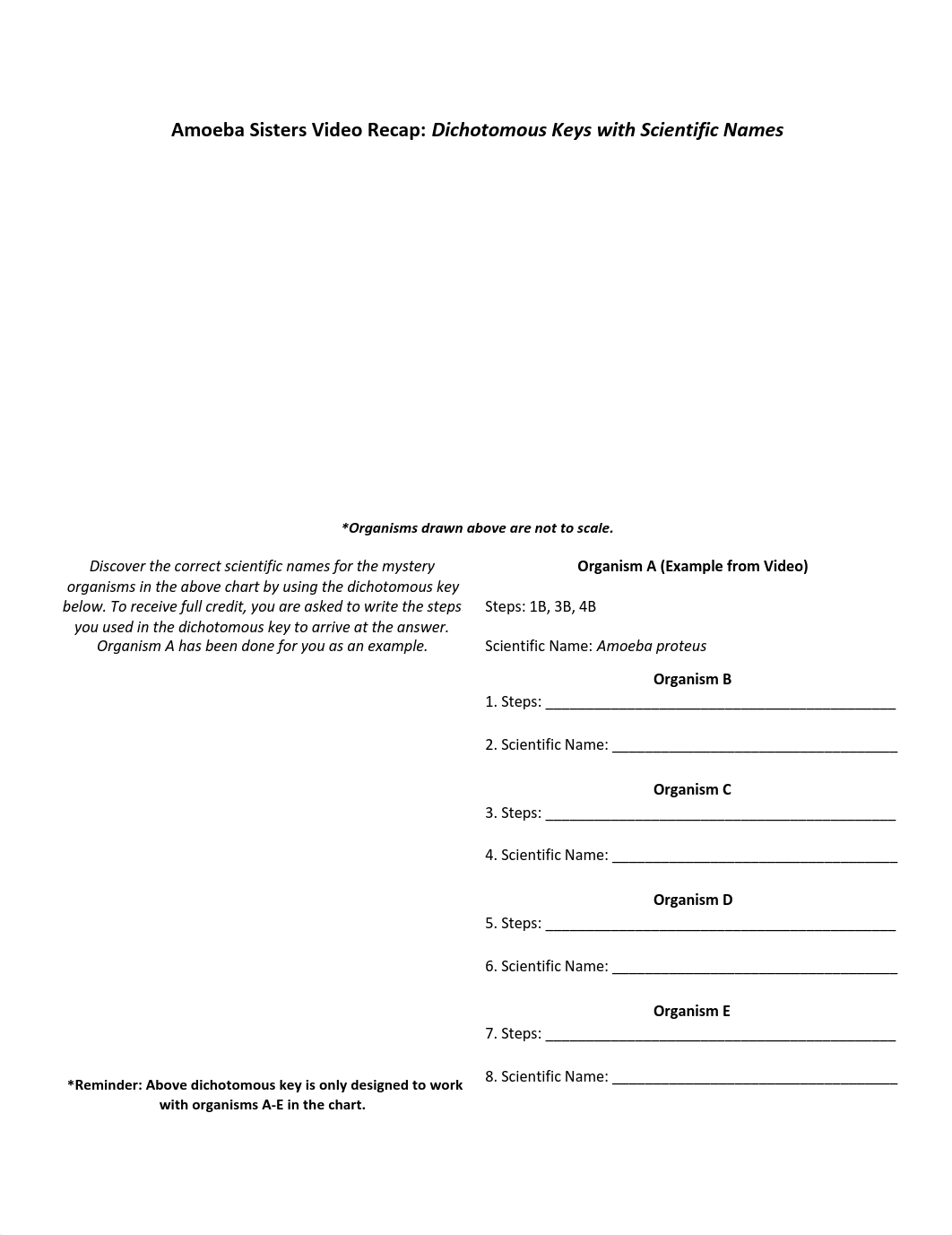 video_recap_of_dichotomous_keys_by_amoeba_sisters (1).pdf_dfkkhla6eok_page1