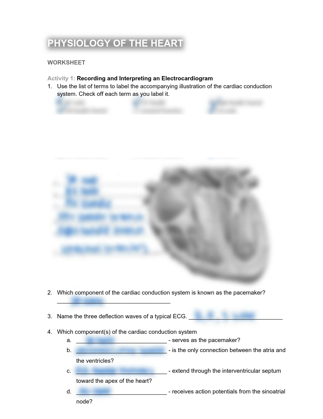 HEART Physiology Worksheets.pdf_dfkp07pyhzk_page1