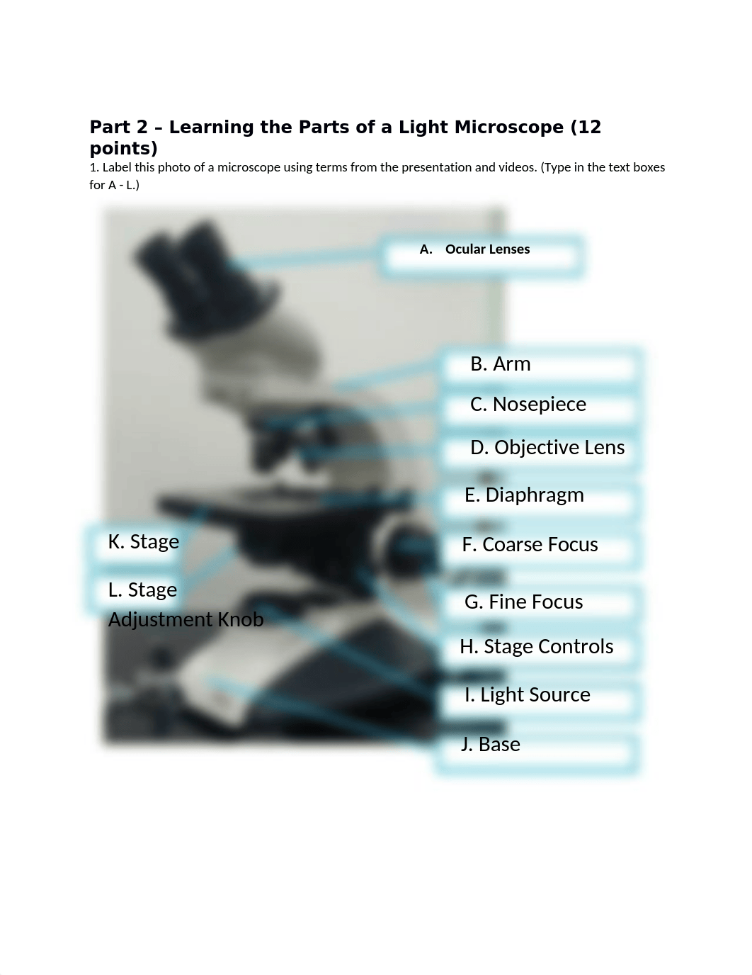 Lab Assignment_NC BioNetwork Virtual Microscope.docx_dfky4nccaws_page2