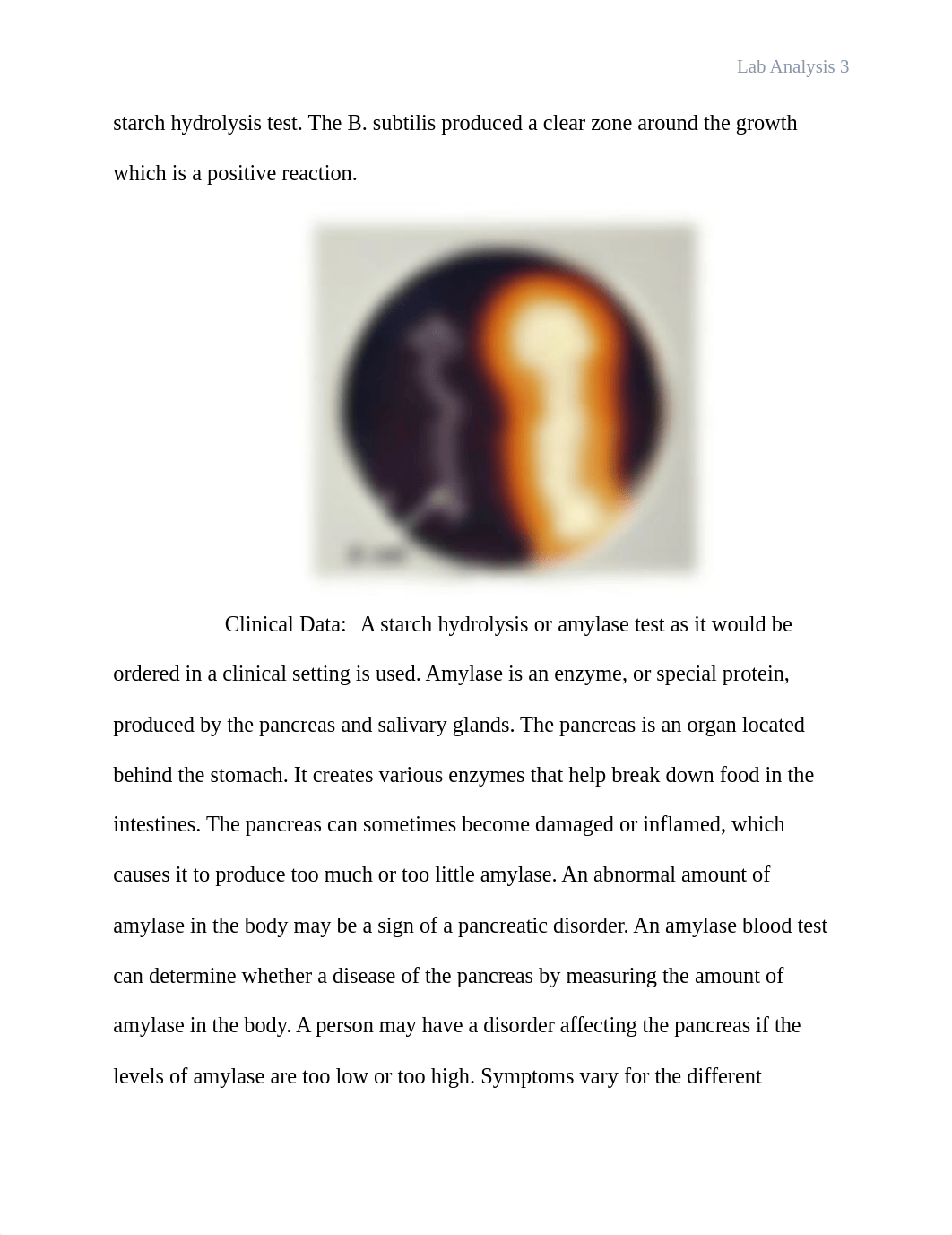 lab.docx_dfkyl4kt6x7_page3