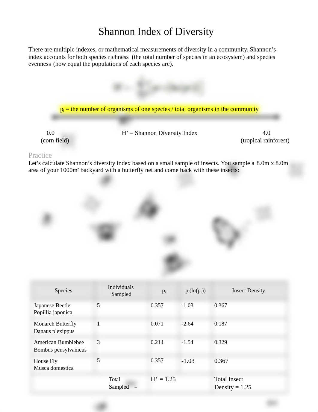 Shannon+Diversity+Index - Copy.docx_dfl3h4wwl6v_page1