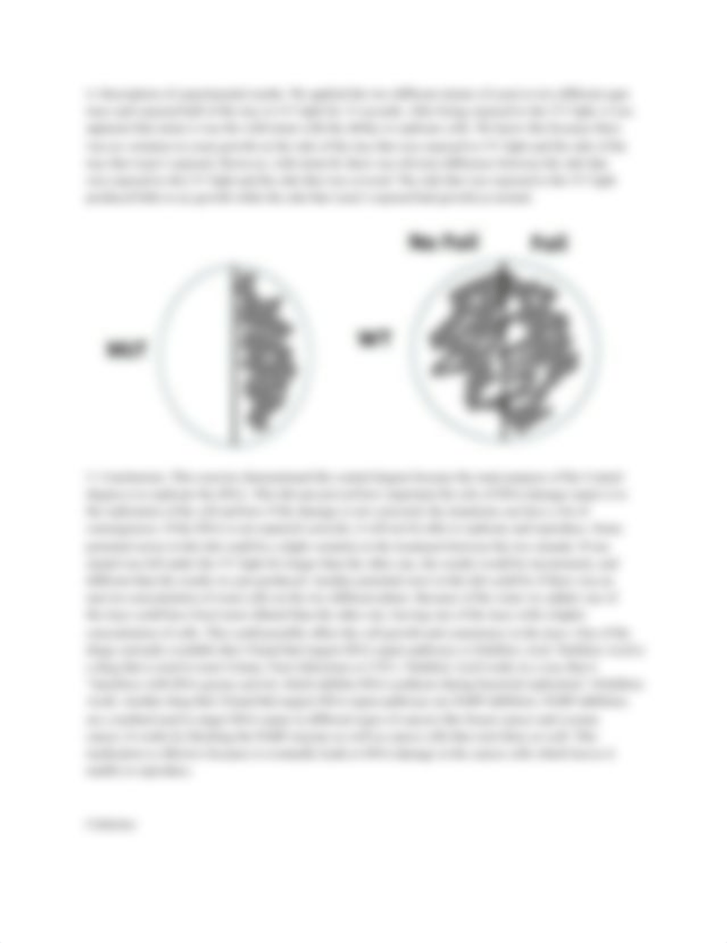 DNA Damage Lab Report.docx_dflbboz7234_page2