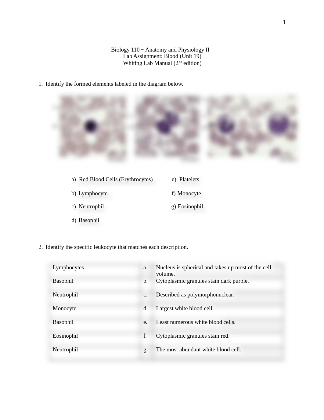 Lab Assignment Blood (BIO 110).docx_dflfiyx8y6q_page1