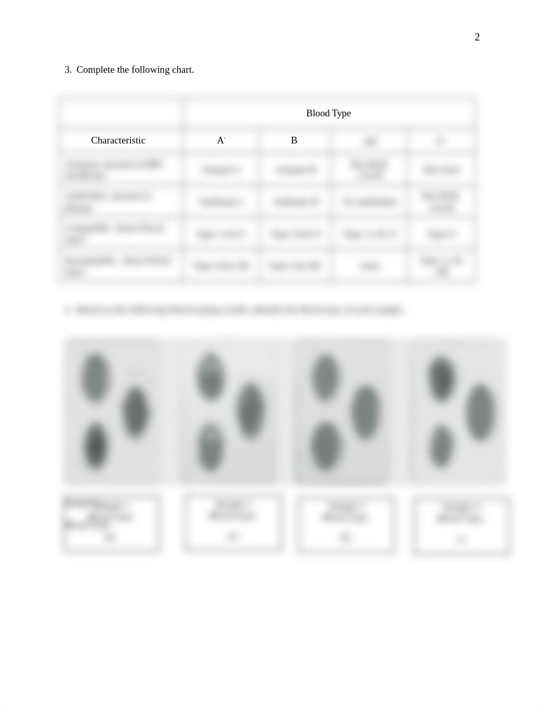 Lab Assignment Blood (BIO 110).docx_dflfiyx8y6q_page2