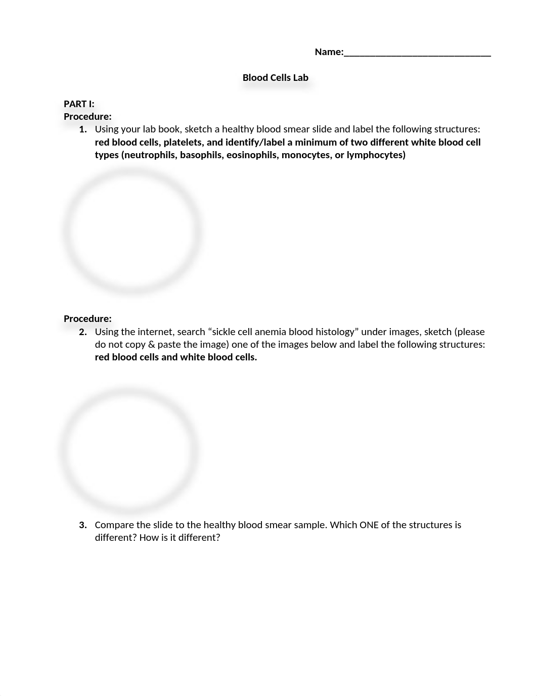 Blood cells lab.docx_dfliisd5qwe_page1