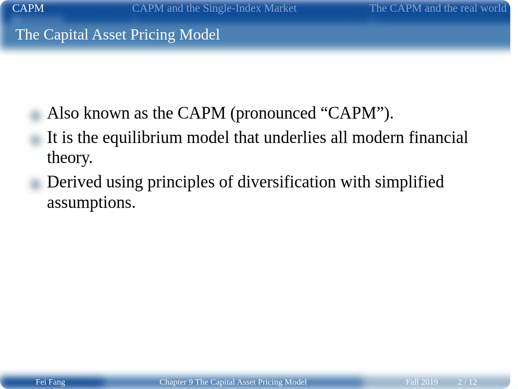 Chapter 9 The Capital Asset Pricing Model (slides).pdf_dflkcer3zx8_page2