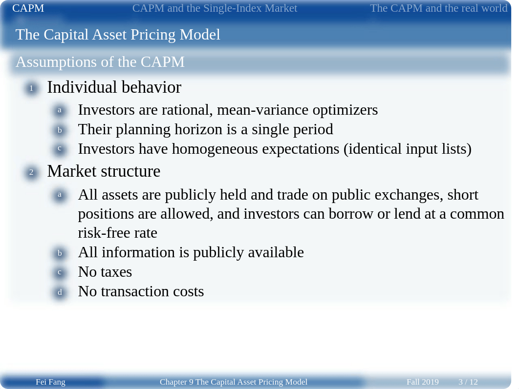 Chapter 9 The Capital Asset Pricing Model (slides).pdf_dflkcer3zx8_page3