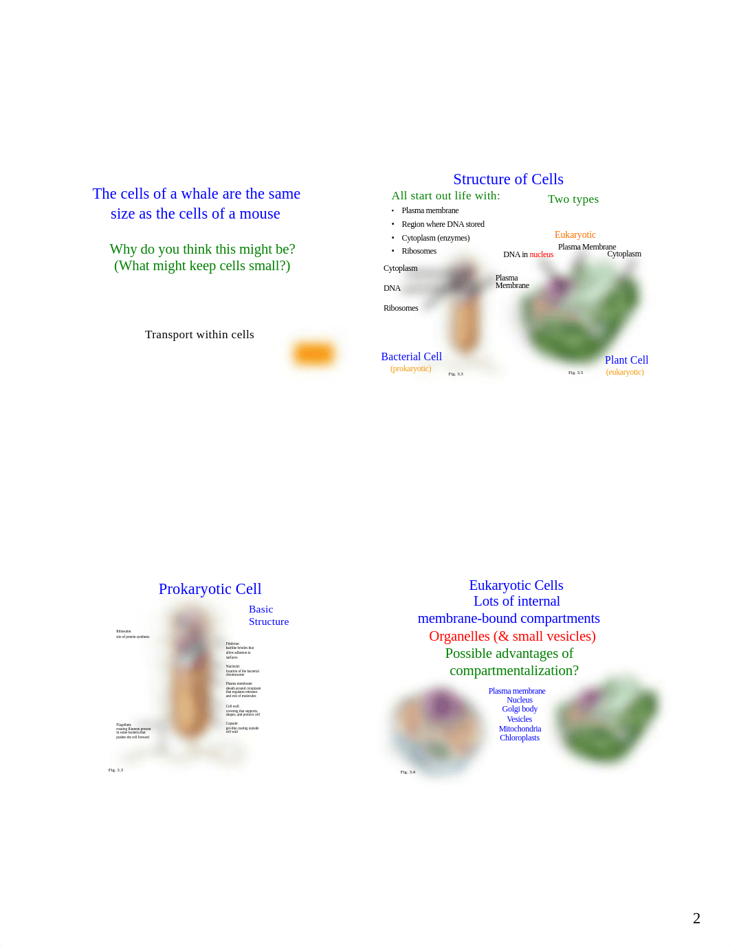 Cell Structure and Function Lecture Notes.pdf_dflkld7wcoh_page2