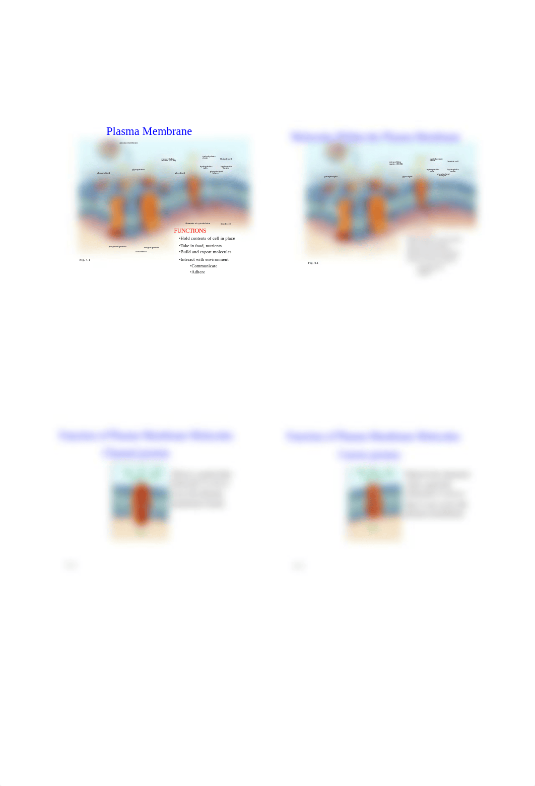 Cell Structure and Function Lecture Notes.pdf_dflkld7wcoh_page3