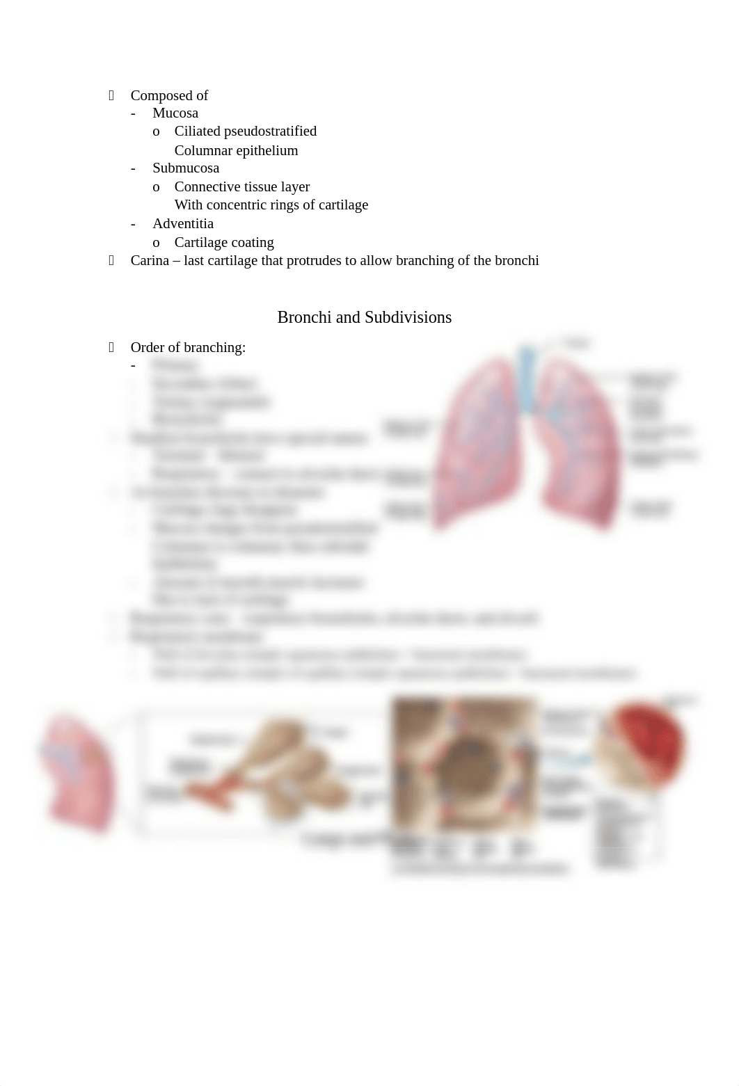 Chapter 22 The Respiratory System.docx_dflnmqc3az1_page3