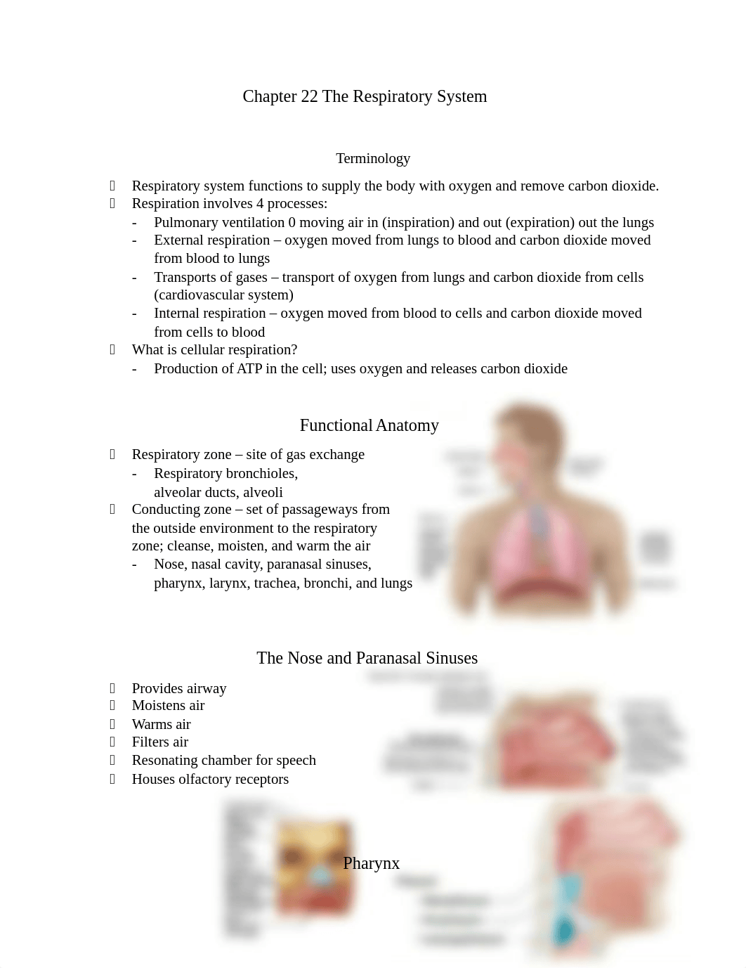 Chapter 22 The Respiratory System.docx_dflnmqc3az1_page1