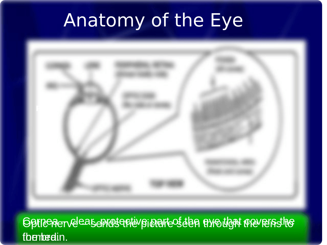 NVG TRNG CLASS.ppt_dflorsh63oi_page2