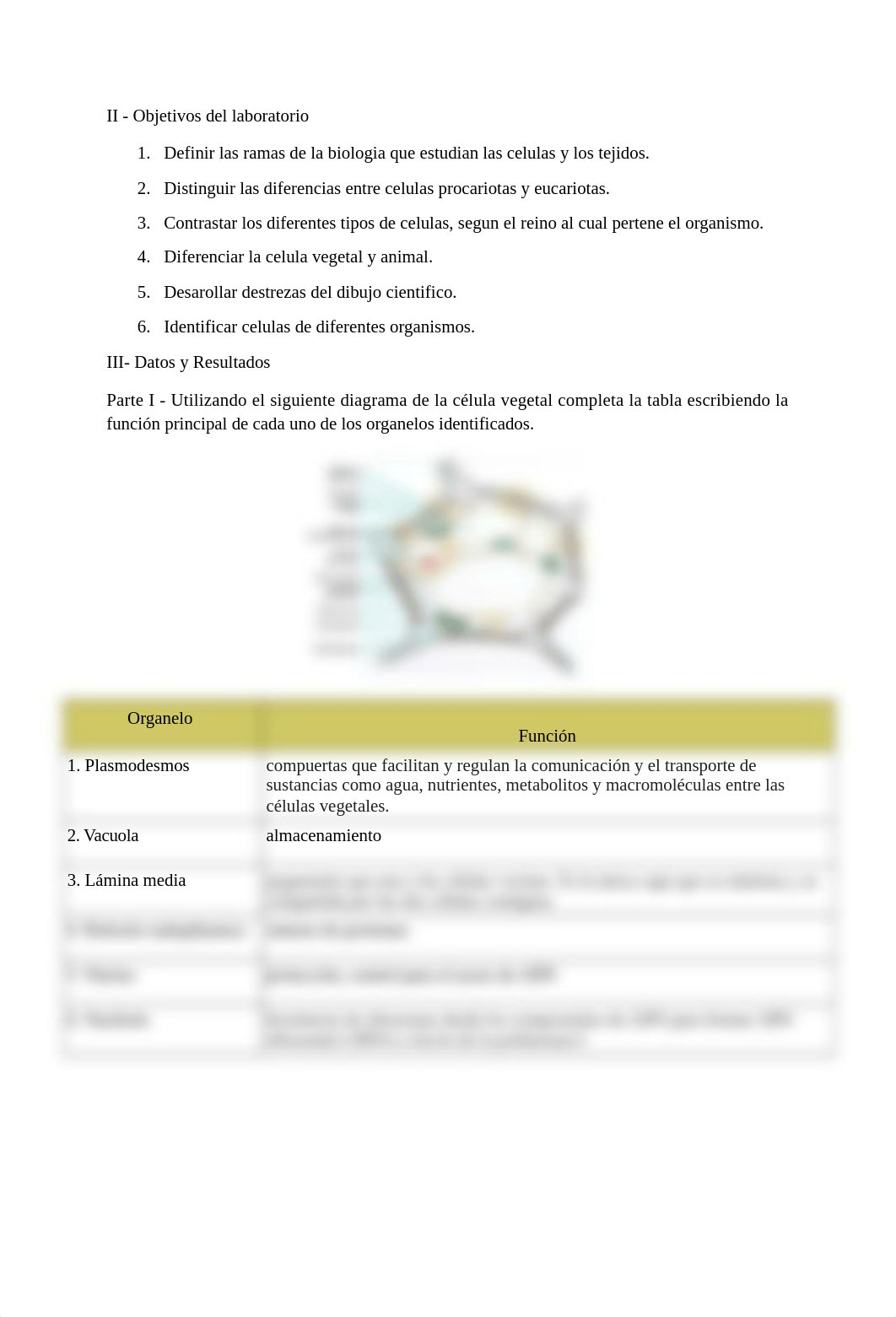 Informe de Laboratorio # 5 - La célula (2).doc_dflpit0tjtd_page2