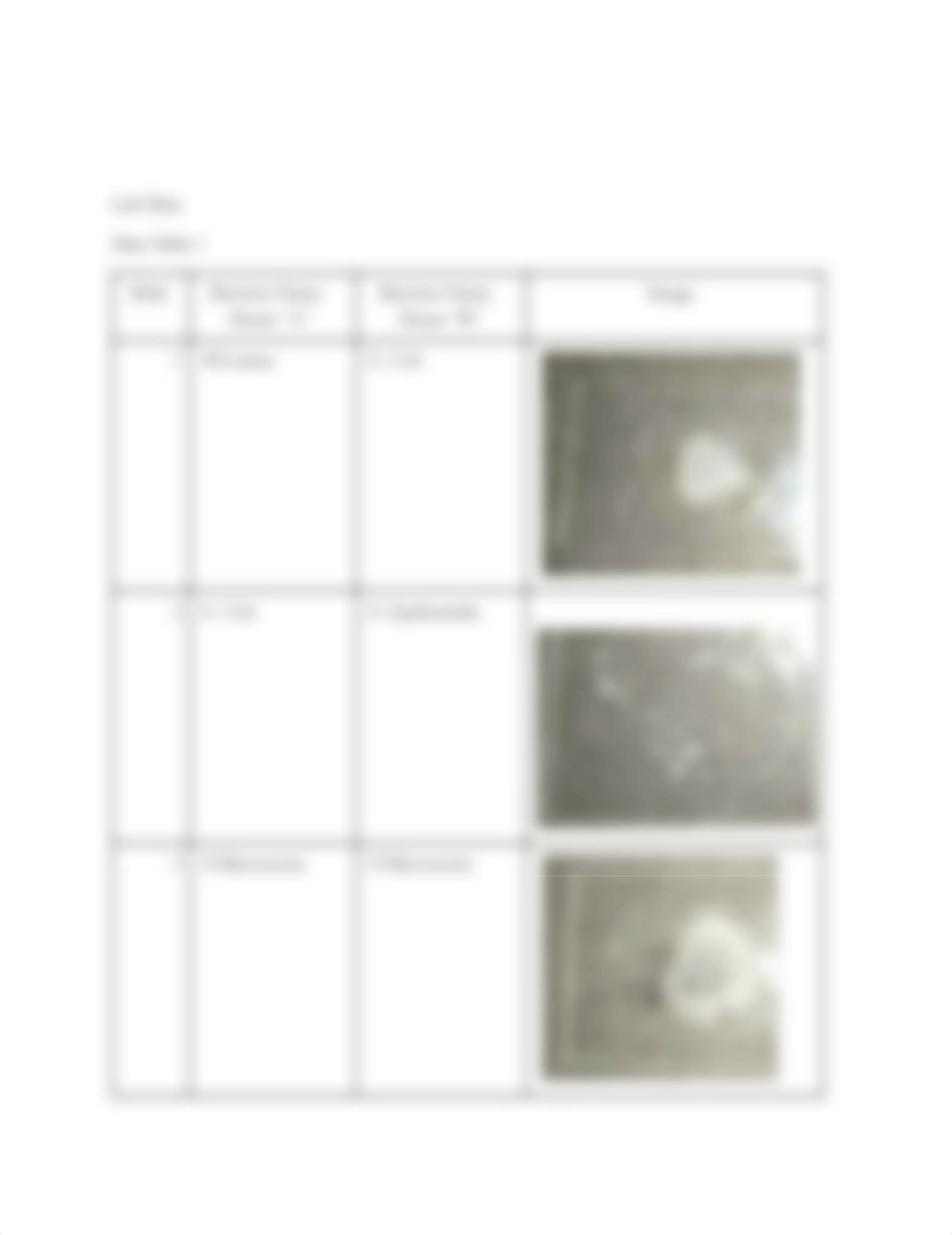 Simple & Differential Staining Lab.pdf_dflvcwai50e_page2