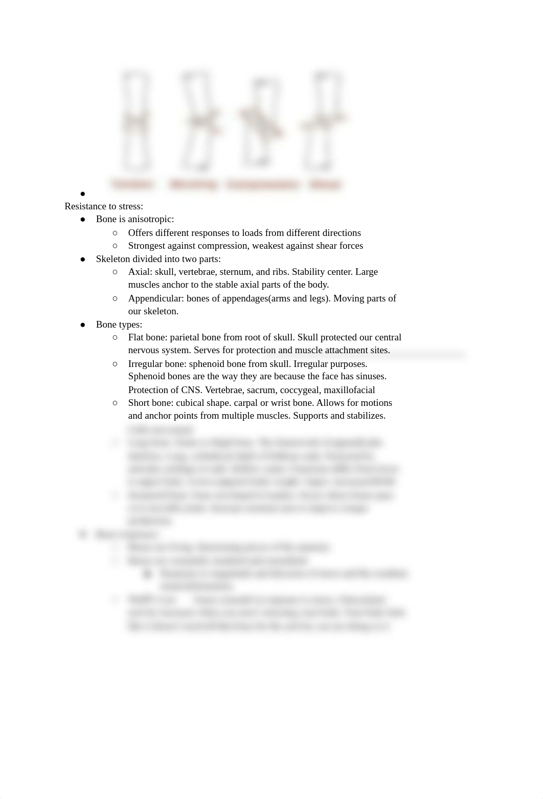 Kinesiology Midterm exam.docx_dfm0jhttysb_page2