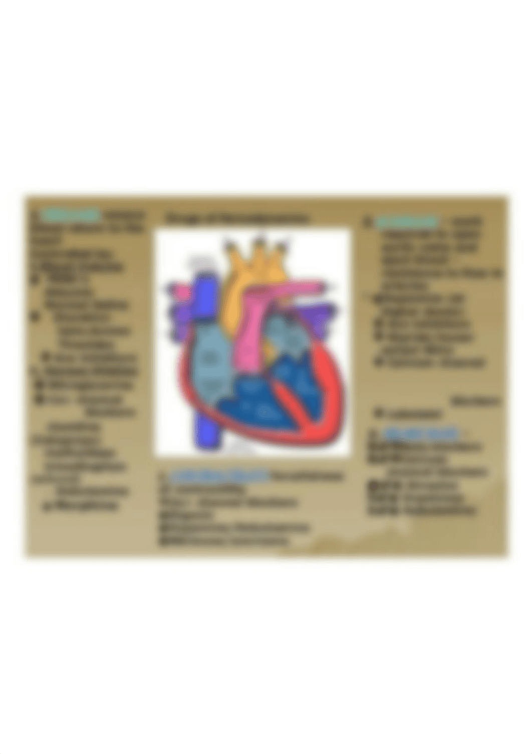 Drugs of Hemodynamics.jpg_dfm3523u1g9_page1