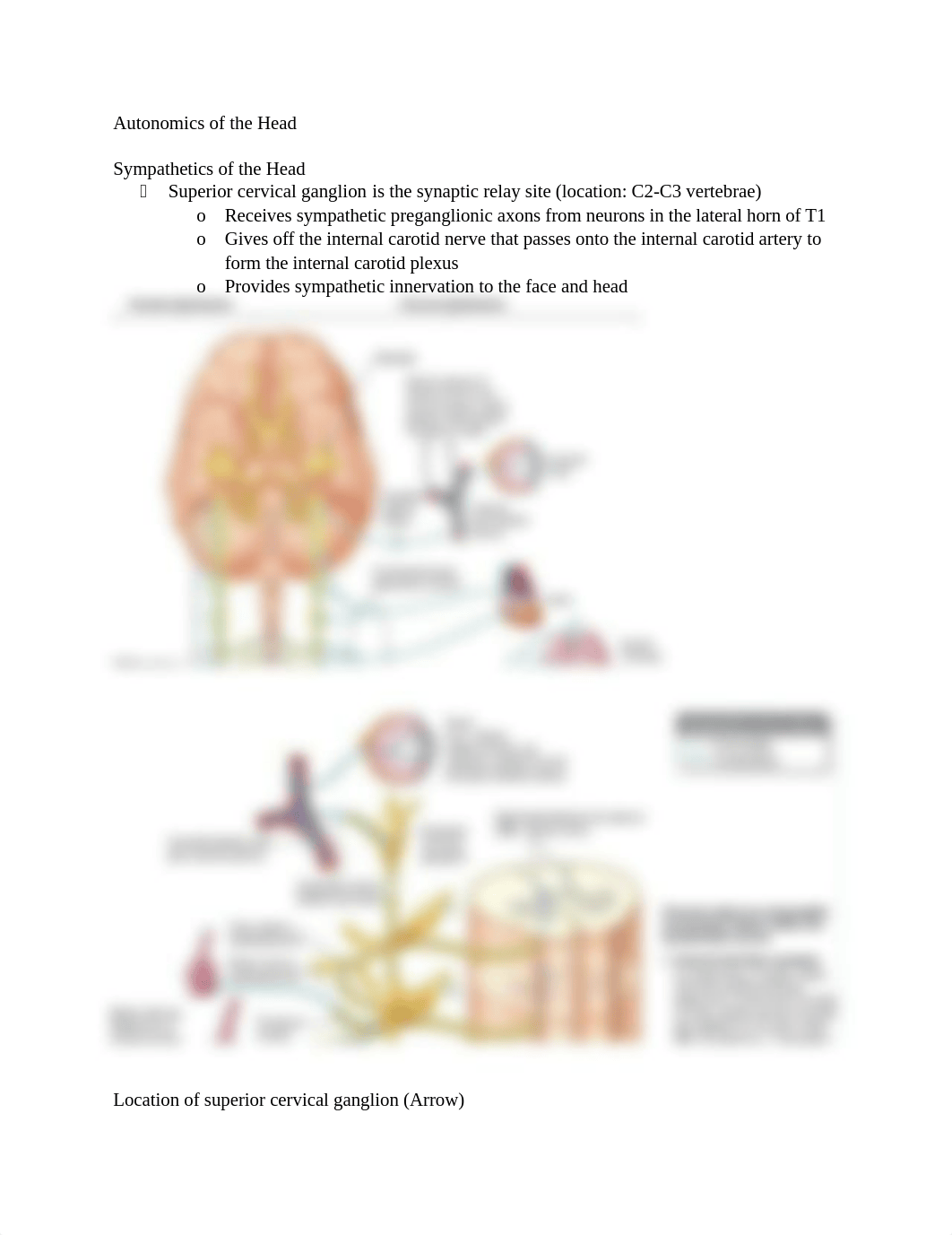 2. Autonomics of the Head.docx_dfma50luwyt_page1