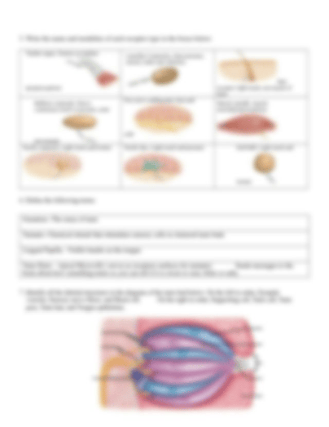 Chapter 16 Concept Check.docx_dfmjbp4onii_page2