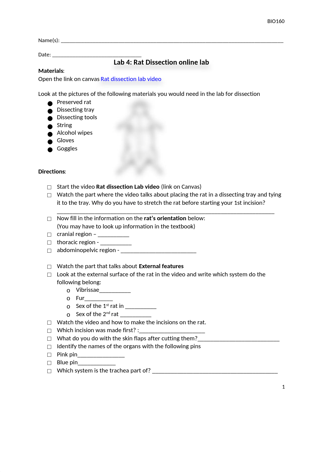 Lab 4. Rat Dissection online Lab Version 2-1.docx_dfmmjxxs1nk_page1