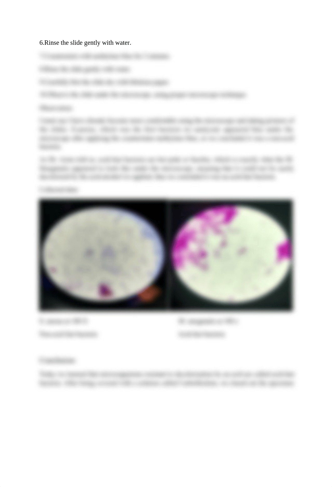 Lab 4 acid - fast staining.docx_dfmoot6ynsp_page2