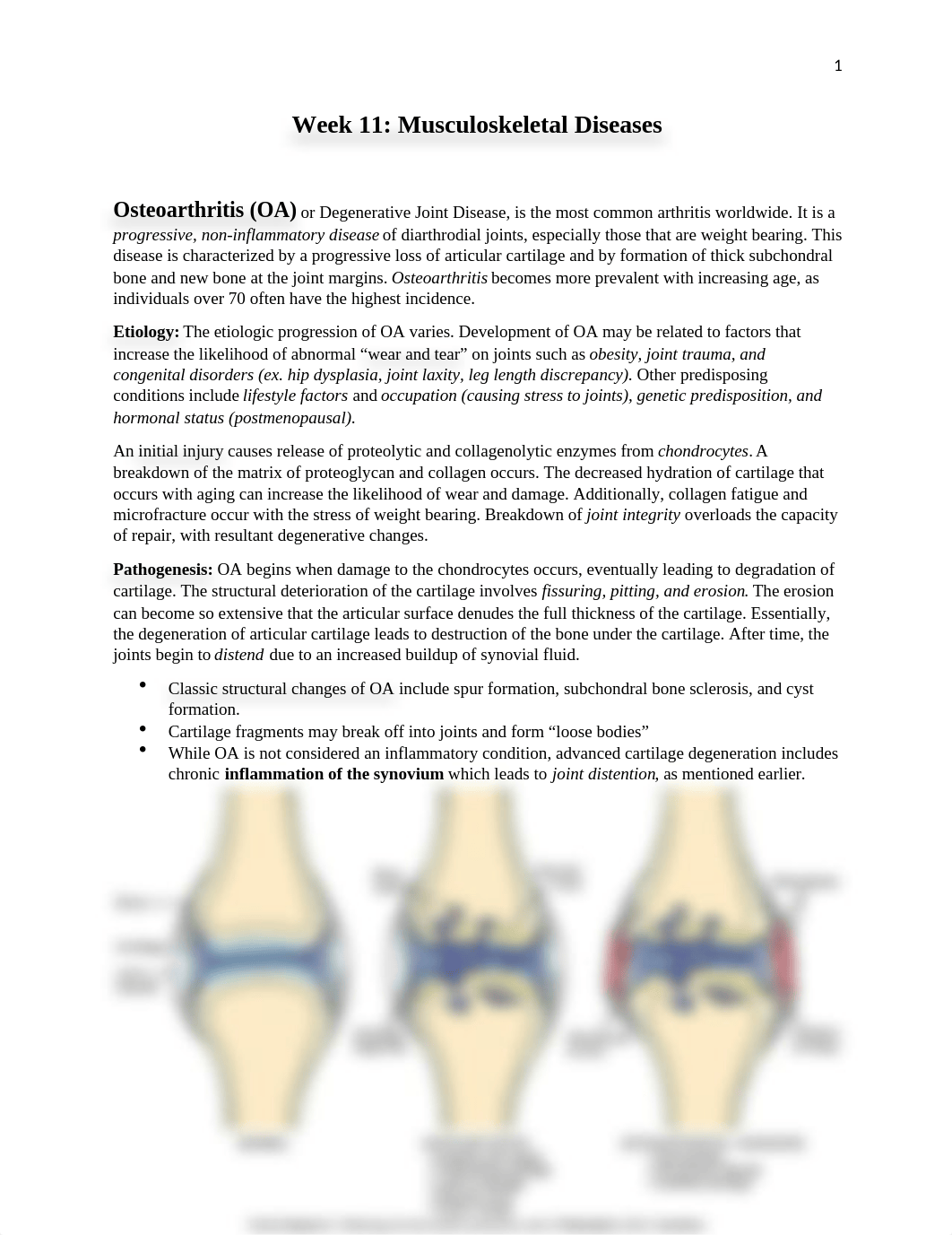 Week 11 Musculoskeletal Diseases.docx_dfmpzryyx31_page1