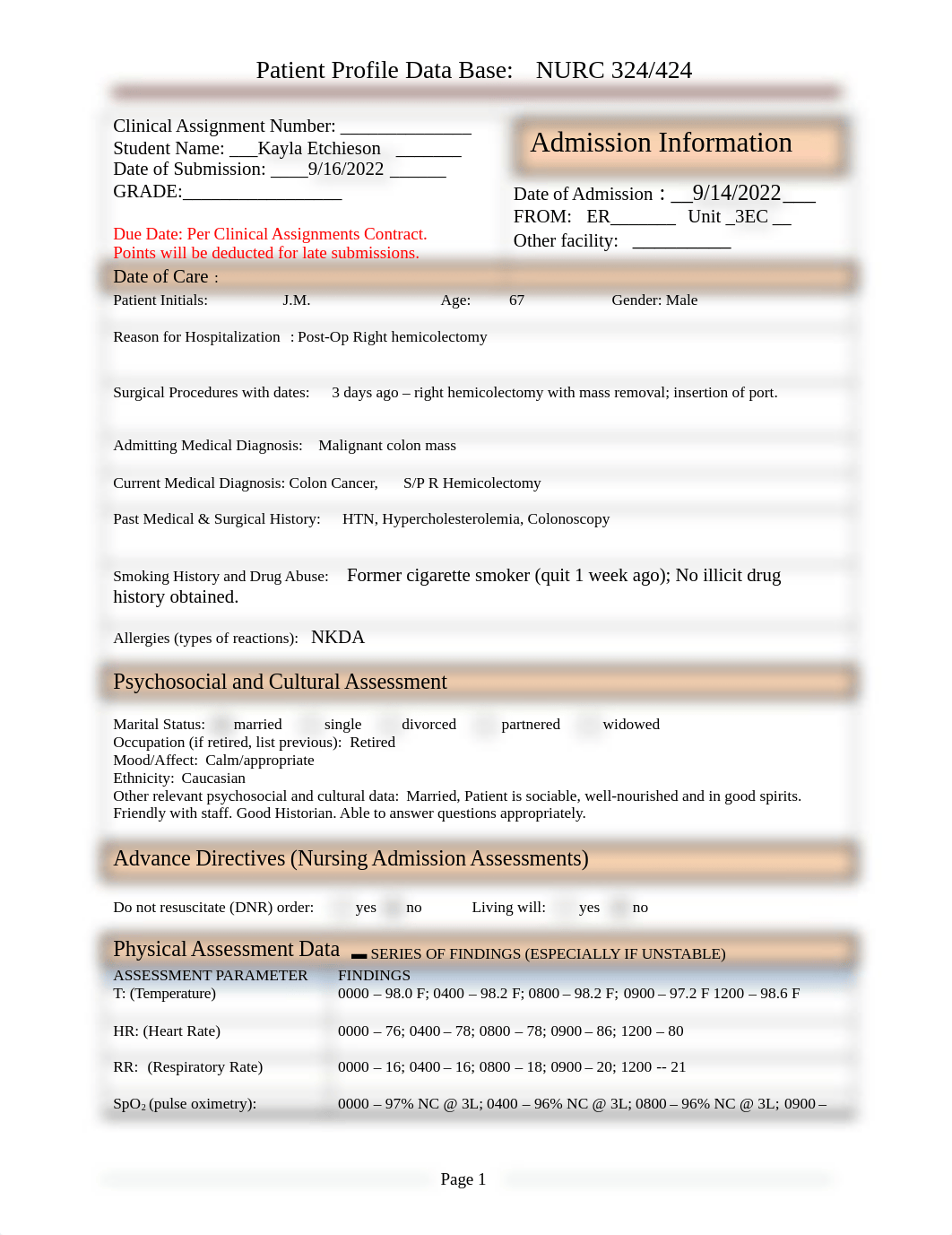 K. Etchieson Patient Data Profile .docx_dfmterghl4u_page1